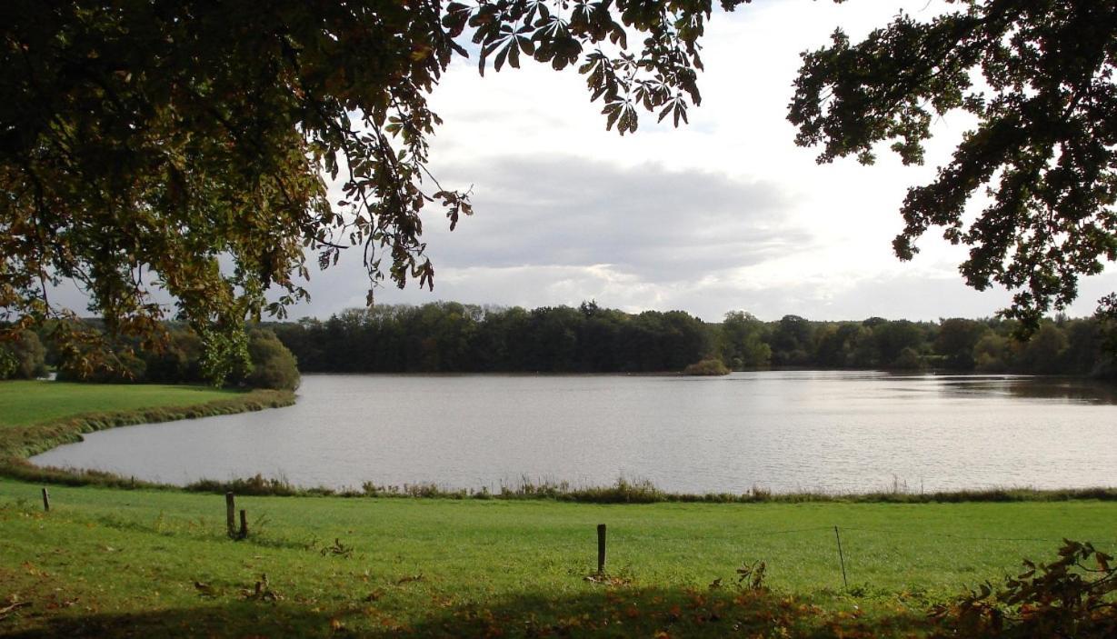 Erdgeschoss-Appartement Mit Seeterasse Ahrensbok Bagian luar foto